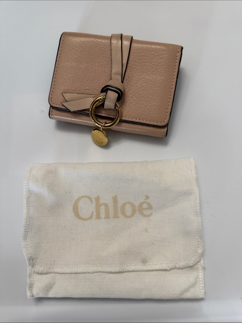 Chloé Small Leather Wallet in Blush Pink with Gold Hardware